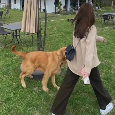 美洲豹女儿
